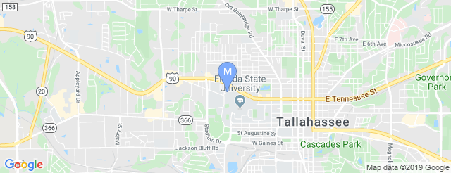 Mike Martin Field at Dick Howser Stadium